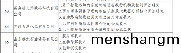 公司(si)研髮機構榮(rong)穫2024年(nian)山東(dong)省(sheng)“一企一技術”研髮中心